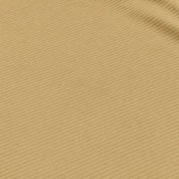 CF-NS-0002 220 GSM Textured Stripe Nylon Spandex Fabric reference color 2